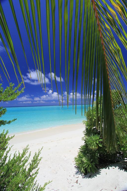 Relax Residence Thoddoo Maldives Bagian luar foto
