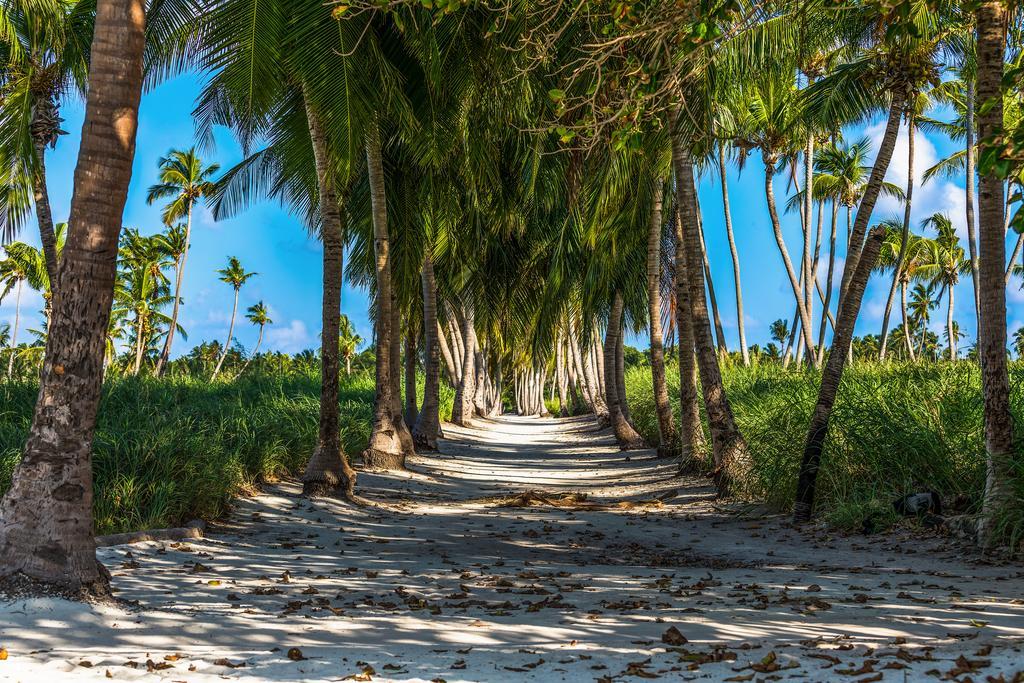 Relax Residence Thoddoo Maldives Bagian luar foto